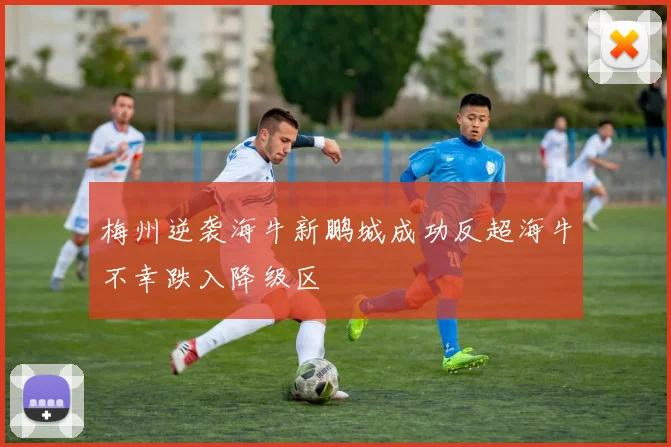 梅州逆袭海牛新鹏城成功反超海牛不幸跌入降级区